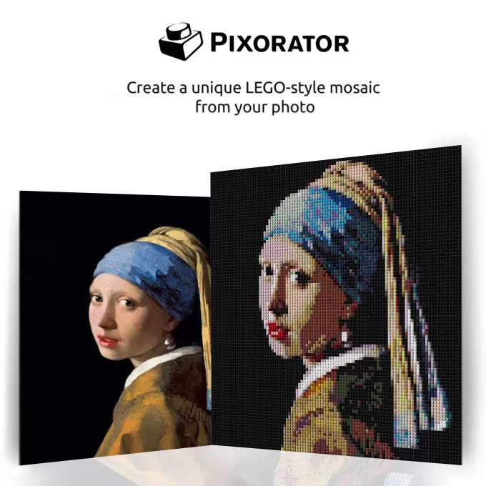 Girl With A Pearl Earring Pixel Art Brick Mosaic